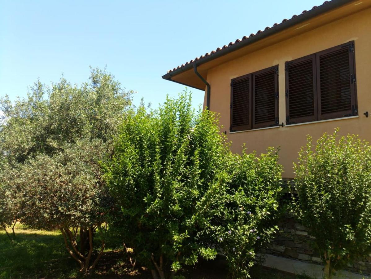 אולביה Viliam B&B מראה חיצוני תמונה